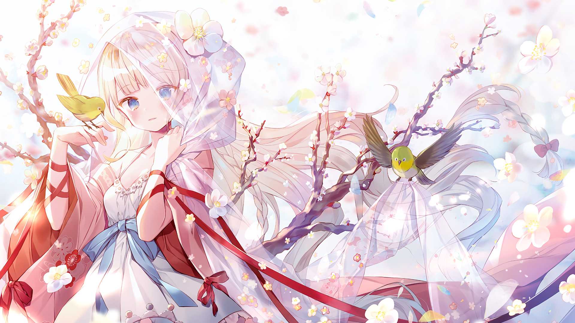 boxmoe_header_banner_img